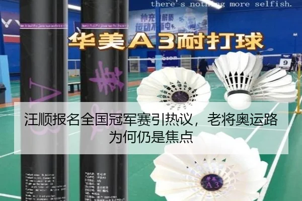 汪顺报名全国冠军赛引热议，老将奥运路为何仍是焦点